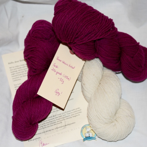 Lot 4 of the Great White Bale! Good-bye letter and pin with 600yds DK weight yarn!