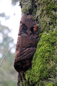 A carving of an Owl nestles into the mosses on the trunk of a tree.