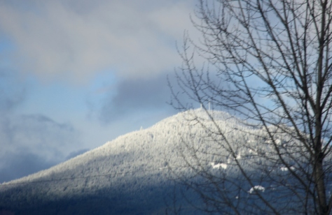 Fresh snow on Mount Benson.